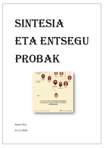 PRUEBAS-DE-SINTESIS-Y-ENSAYO.pdf