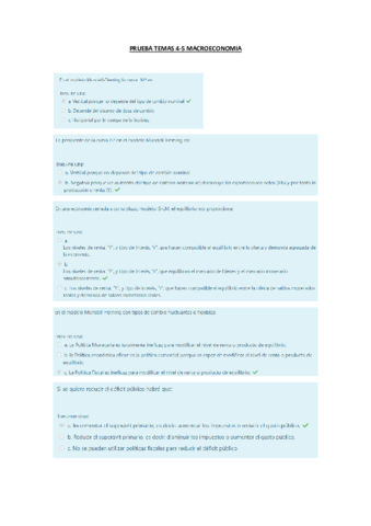 PRUEBAS-AULA-VIRTUAL.pdf