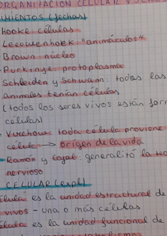 la-org-de-los-seres-vivos-ud6.pdf