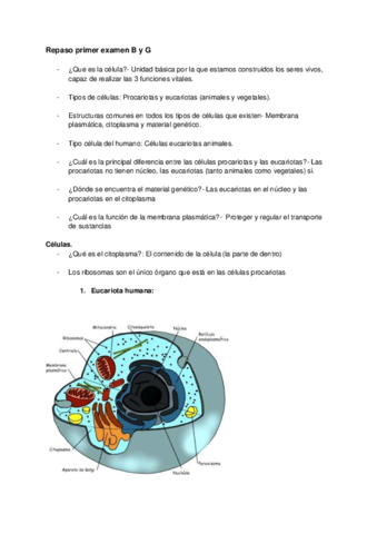 Examen-ByG-T.pdf