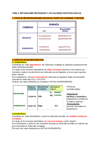 Apuntes-tema-9.pdf