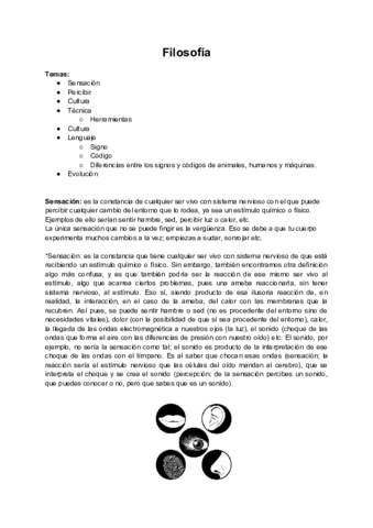 1o-trimesrtre-Sensacion-cultura-y-lenguajes-Filosofia-.pdf