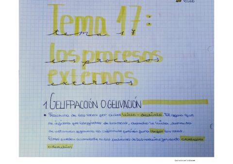 TEMA-17-LOS-PROCESOS-EXTERNOS-GEOLOGIA.pdf