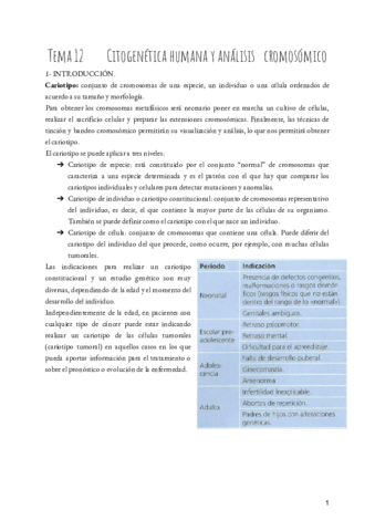 BMC-T.pdf