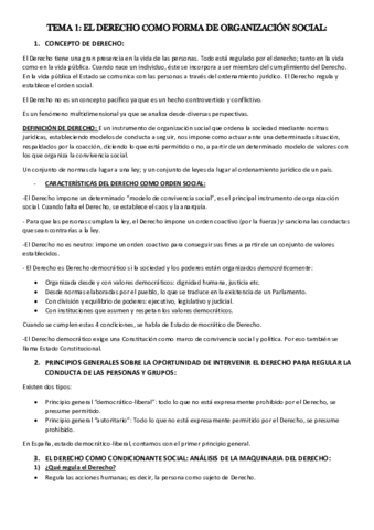 TEMA-1.pdf