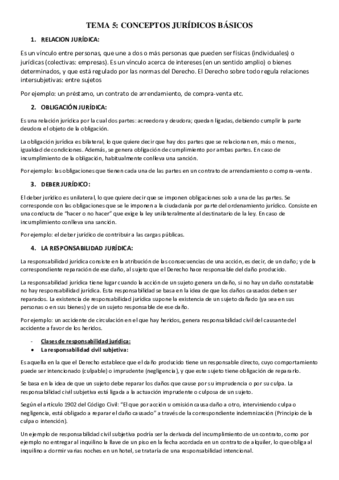 TEMA-5.pdf