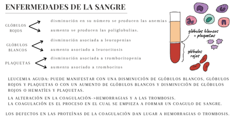 enfermedades-de-la-sangre.pdf