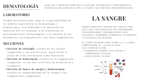 hematologia-pg7y14.pdf