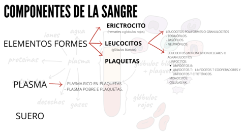Componentes-de-la-sangre-pg8-11.pdf