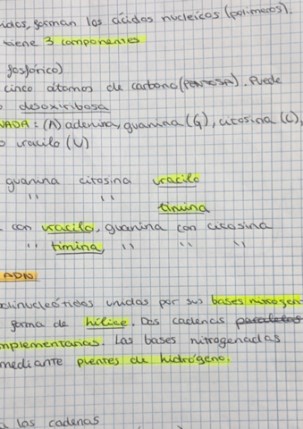 Estructura-ADN-y-replicacion-.pdf