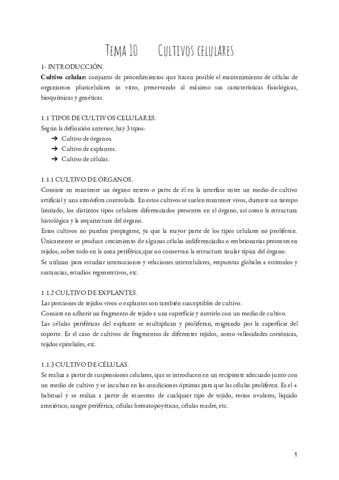 BMC-T.pdf