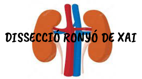 Disseccio-ronyo-de-xai.pdf