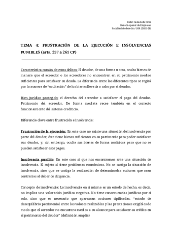 TEMA-4-FRUSTRACION-DE-LA-EJECUCION-E-INSOLVENCIAS-PUNIBLES-1.pdf