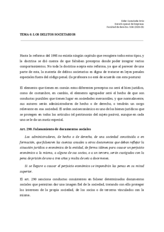 TEMA-6-DE-LOS-DELITOS-SOCIETARIOS-1.pdf