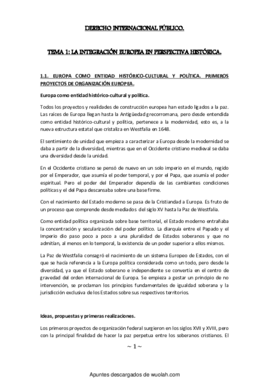 wuolah-Derecho Internacional Público..pdf