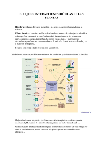 INTERACCIONES-BIOTICAS-DE-LAS-PLANTAS.pdf