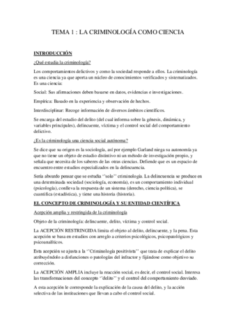 derecho-penal-unido.pdf