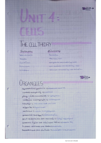 BIOLOGY-UNIT-4-CELLS-CELULAS-SPUNTES-ACTIVIDADES-Y-ESQUEMA-FINAL.pdf