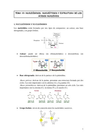 TEMA-10-BIOMOLECULAS.pdf