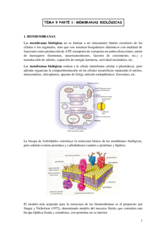 TEMA-9-BIOMOLECULAS.pdf