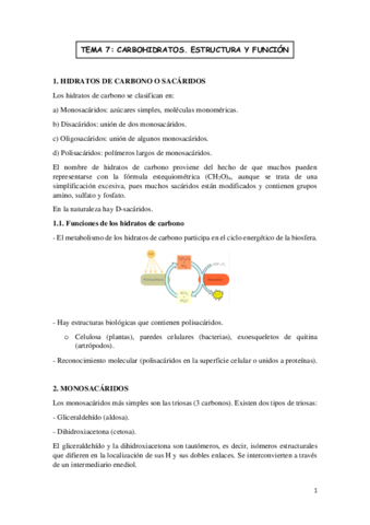 TEMA-7-BIOMOLECULAS.pdf