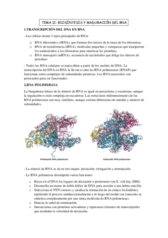 TEMA-12o-BIOMOLECULAS.pdf