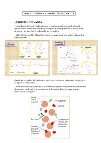 TEMA-5o-biomoleculas.pdf