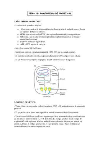 TEMA-13o-BIOMOLECULAS.pdf