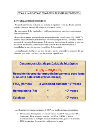 TEMA-4o-biomoleculas-bueno.pdf