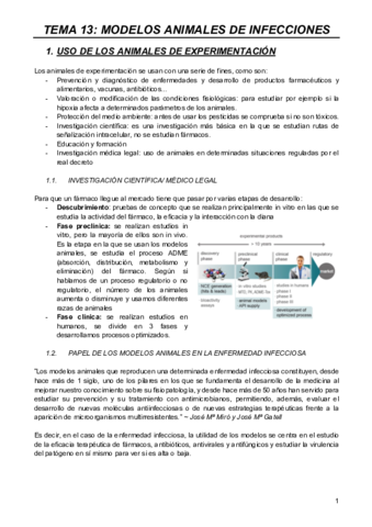 MODELOS-T13.pdf