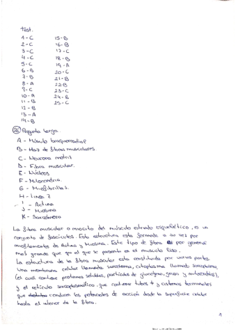 Respuestas-examen-11-30-20.pdf