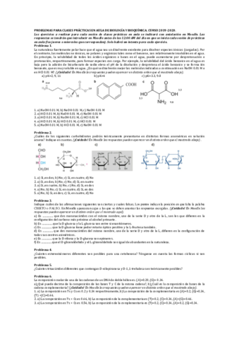 PASCUAL-Problemas.pdf