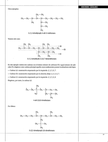 15-Alcanos-6.jpg