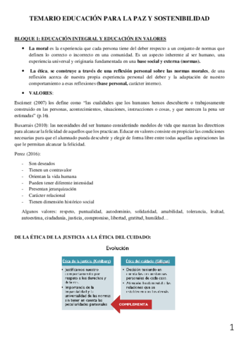 RESUMEN-TEMARIO-copia.pdf