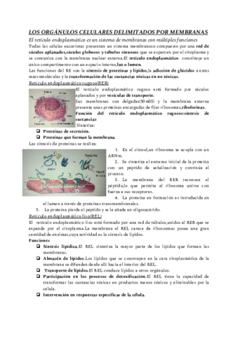 LOS-ORGANULOS-CELULARES-DELIMITADOS-POR-MEMBRANAS.pdf