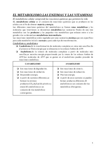 EL-METABOLISMOLAS-ENZIMAS-Y-LAS-VITAMINAS.pdf