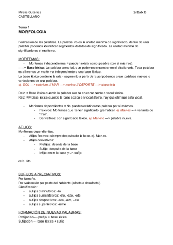 CAST-apunts-t1-Mireia-.pdf