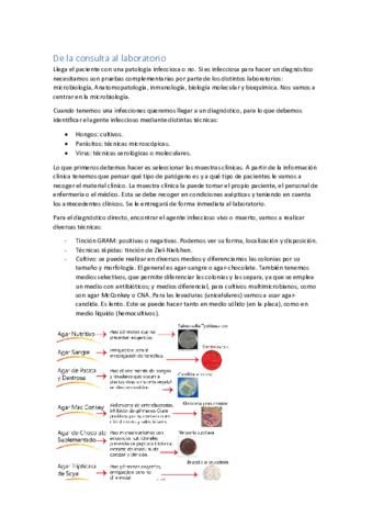 PRACTICAS-AULA-III.pdf