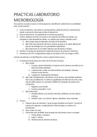 PRACTICAS-LABORATORIO.pdf