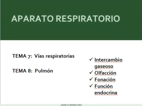 vias-respiratorias.pdf