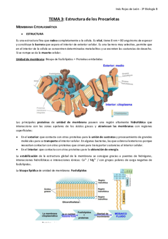 TEMA-3.pdf