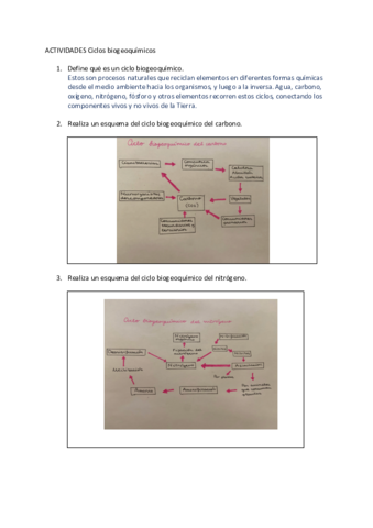 Copia-de-7.pdf