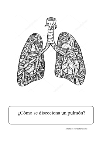 pulmones-biologia.pdf