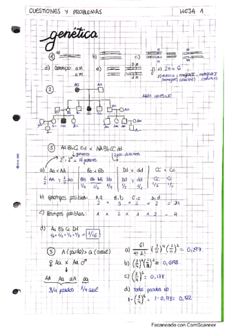 Ejercicios-Genetica.pdf