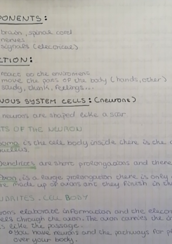 NERVOUS-AND-ENDOCRINE-SYSTEM-3-ESO-.pdf