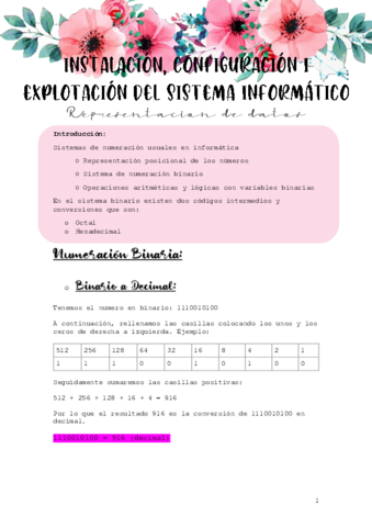Apuntes-M1-Representacion-de-datos.pdf