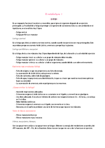 ANATOMIA2-1.pdf