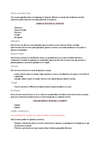 ANATOMIA2-2.pdf