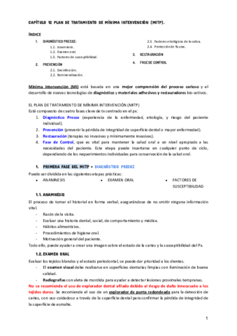 TEMA-12.pdf