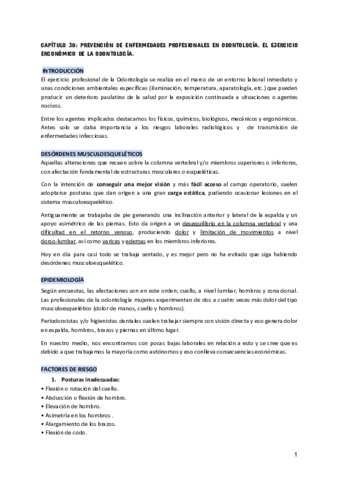 TEMA-30.pdf